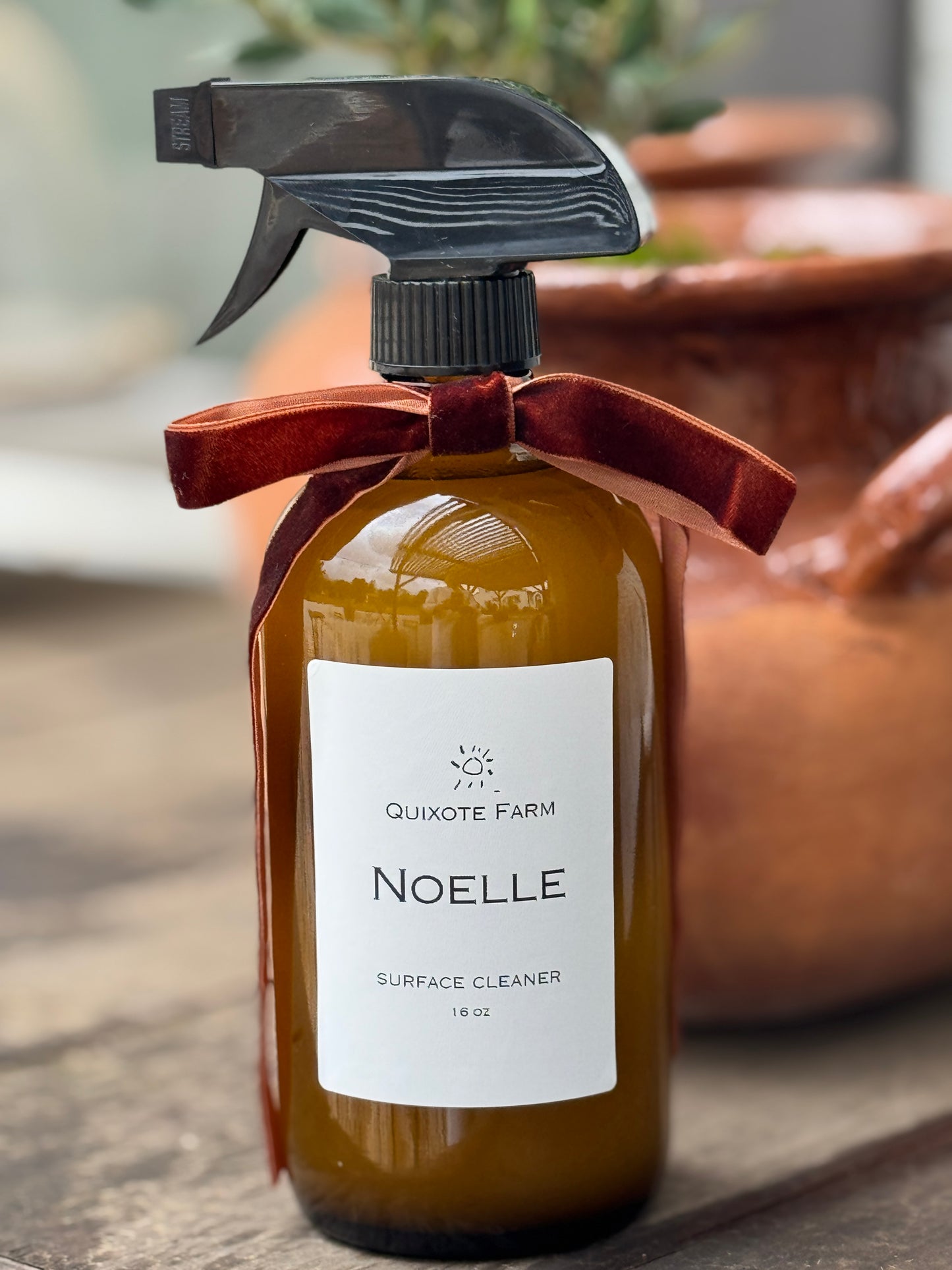 Limited Edition Noelle Surface Cleaner