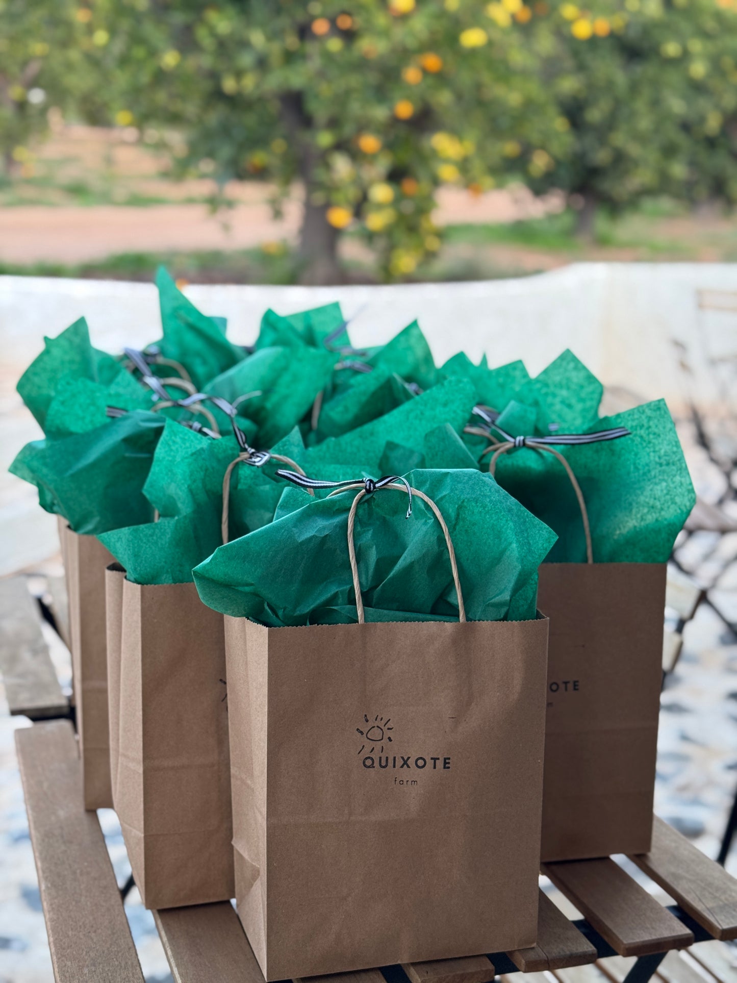 Quixote Farm gift bag with tissue + ribbon