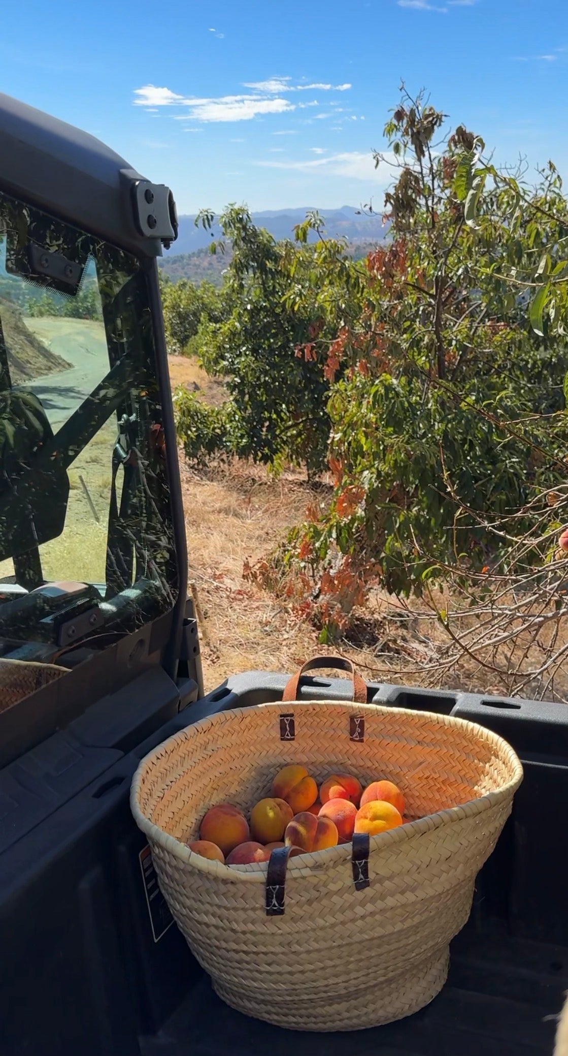 Limited Edition Caramelized Peach Jam