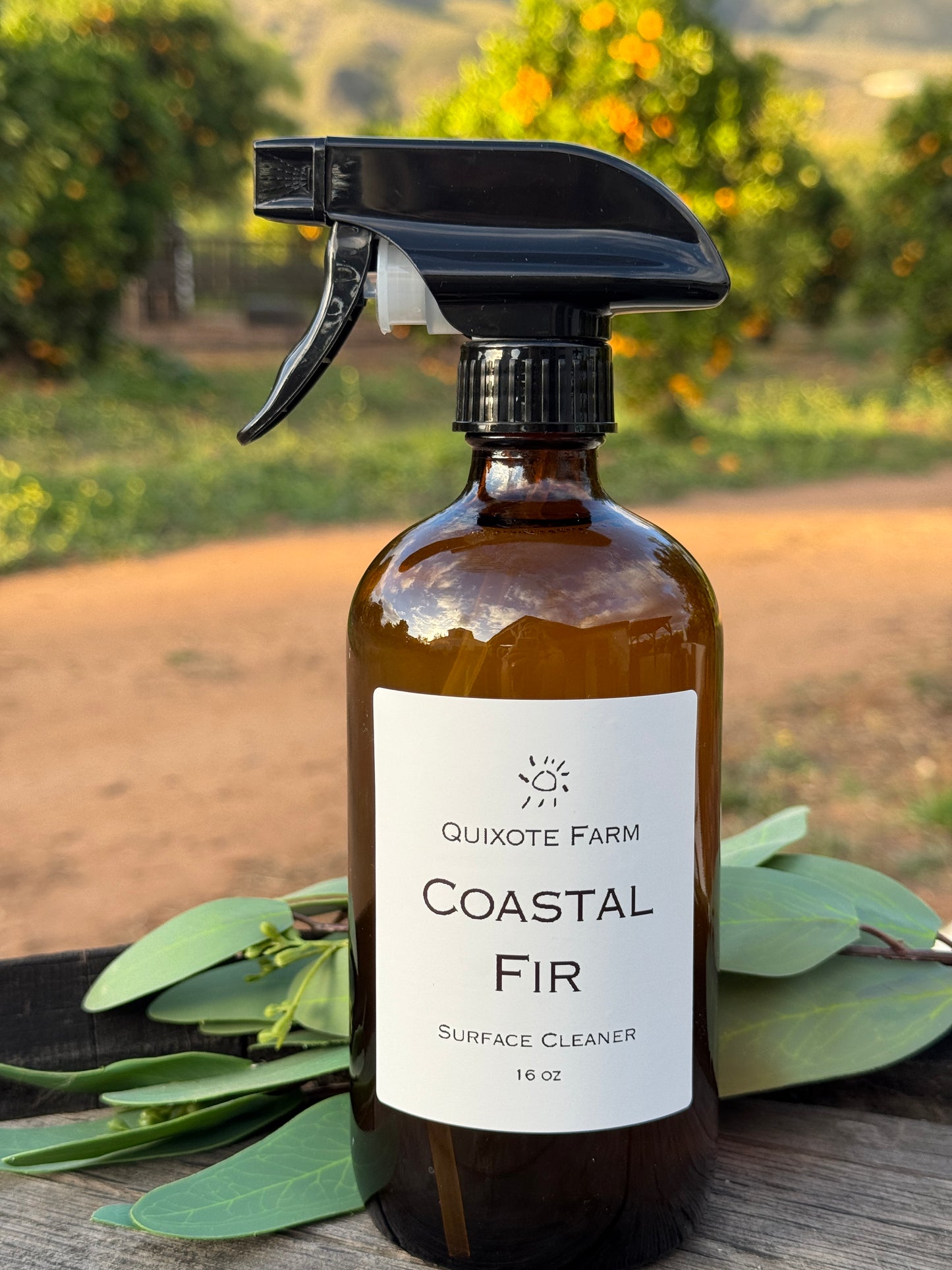 Coastal Fir Surface Cleaner