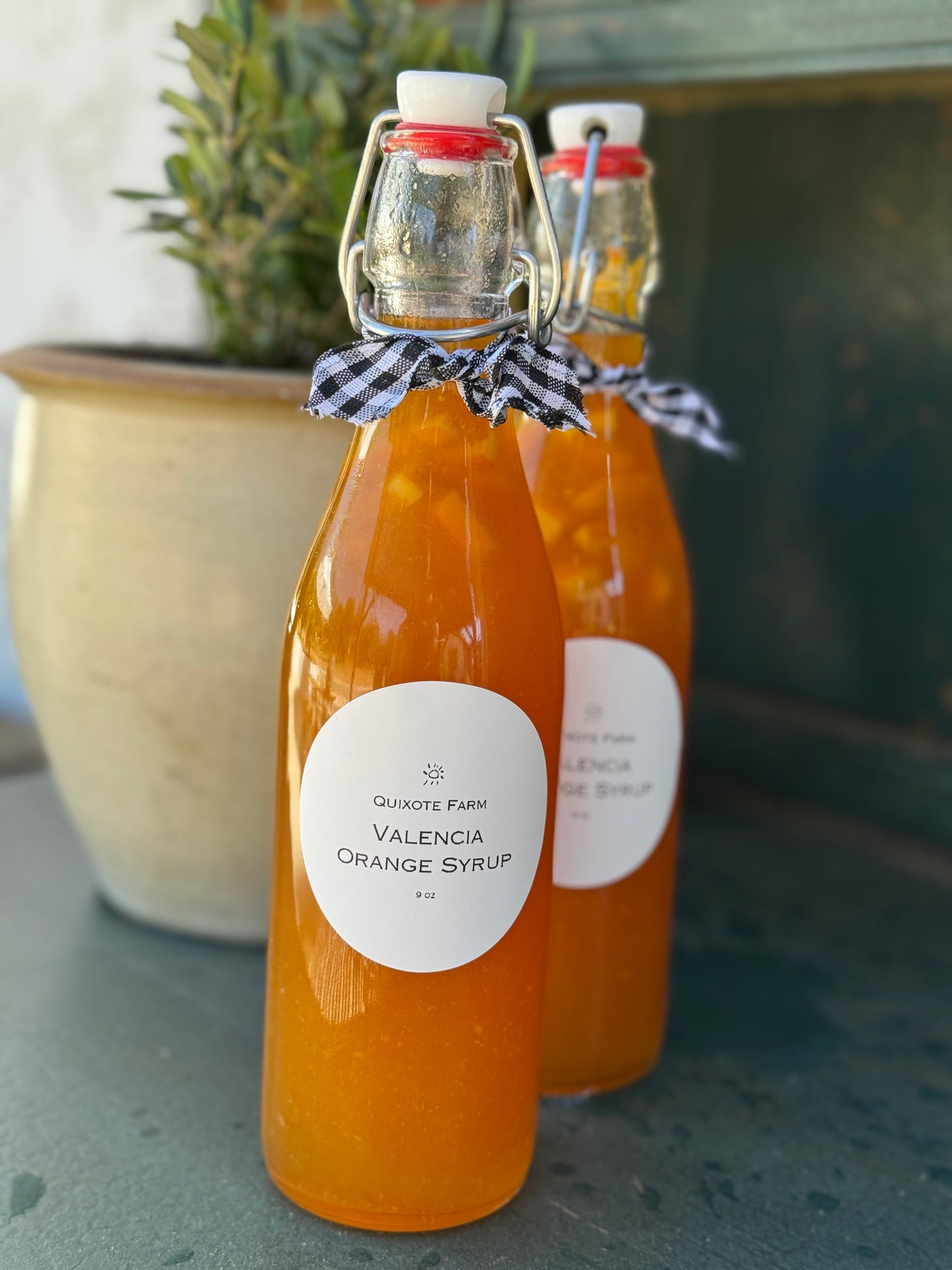 Valencia Orange Syrup, Large