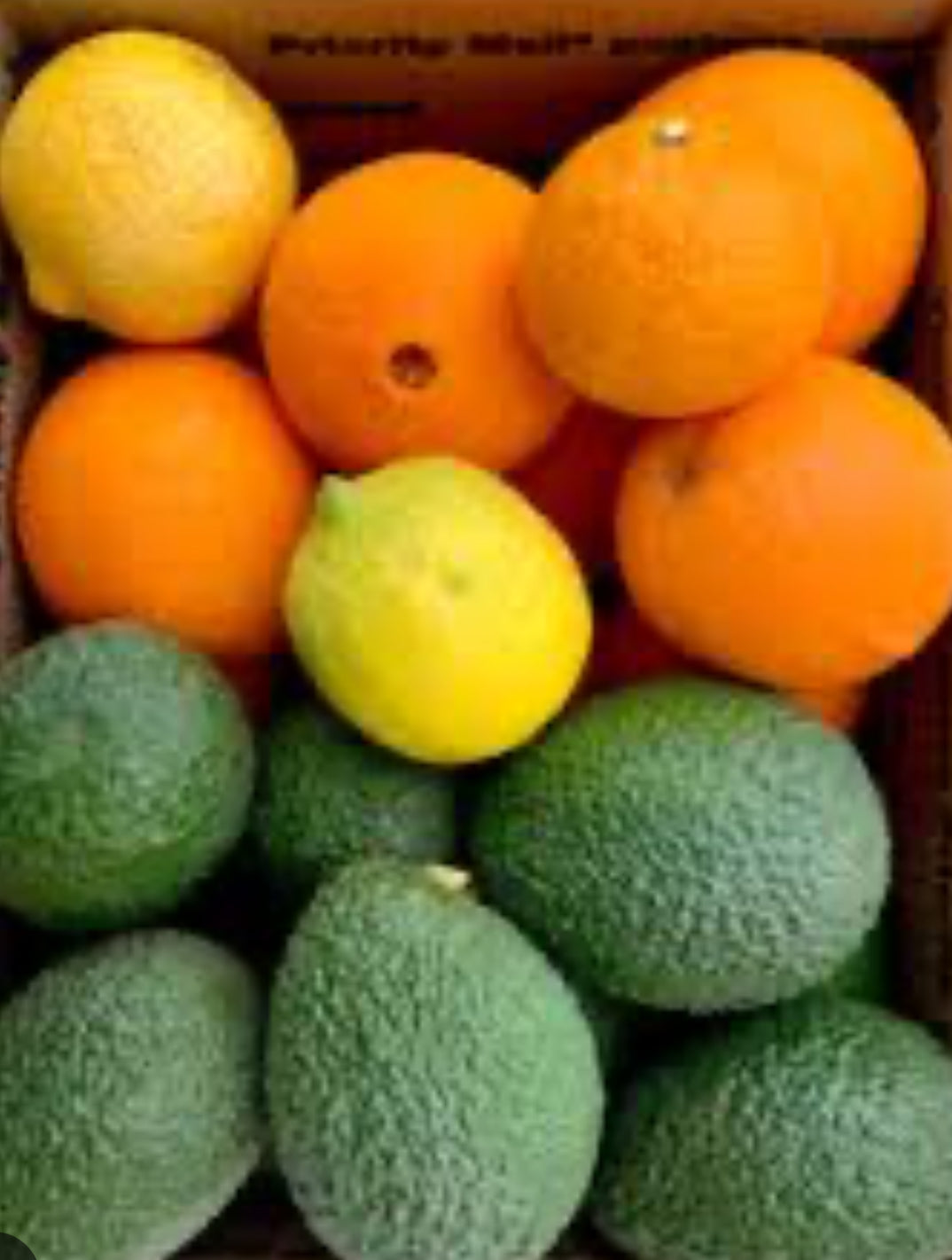 Out of Season until 2026 Large Mixed Box All Natural citrus and avocado box