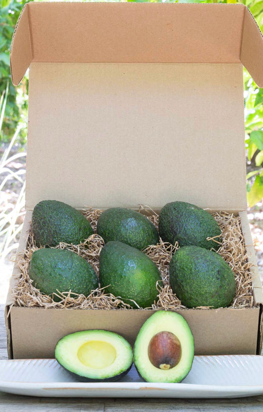 Box of California Avocados