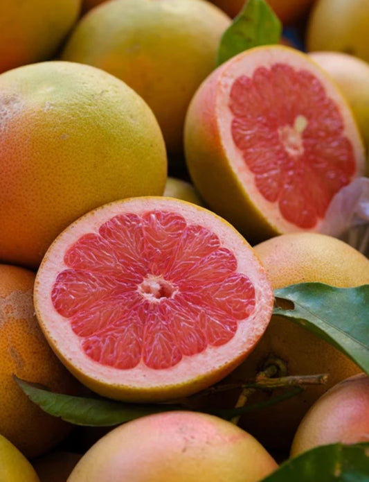 Ruby Red or Oro Blanco Grapefruit Mixed box of 10