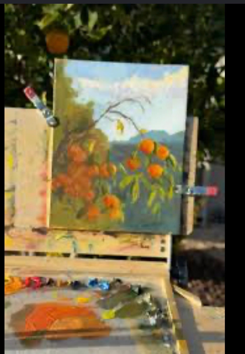 Quixote Creative:Still Life in the Grove with Juliet Tbd Spring 2027