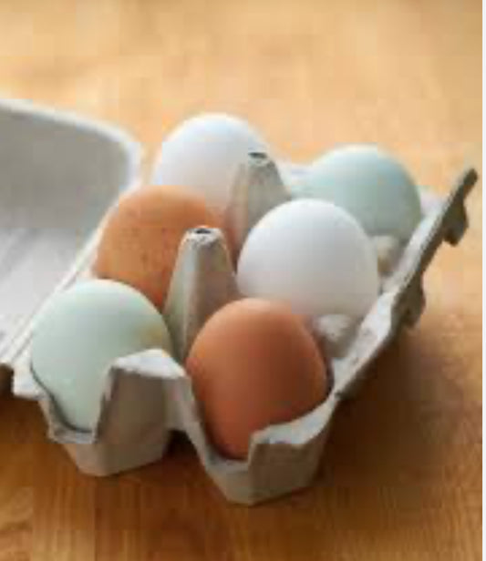 Fresh Farm eggs 1/2 doz