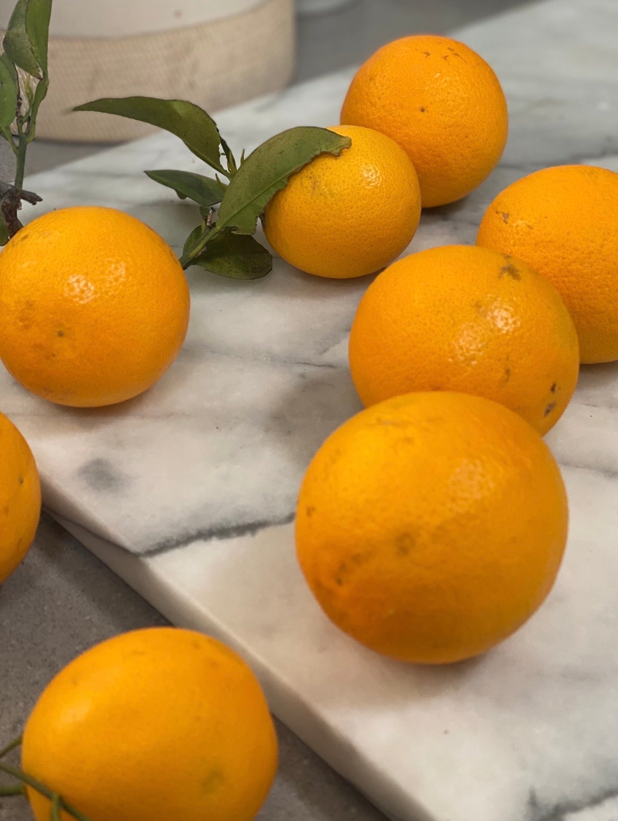 Regeneratively Grown Pesticide Free Valencia Oranges