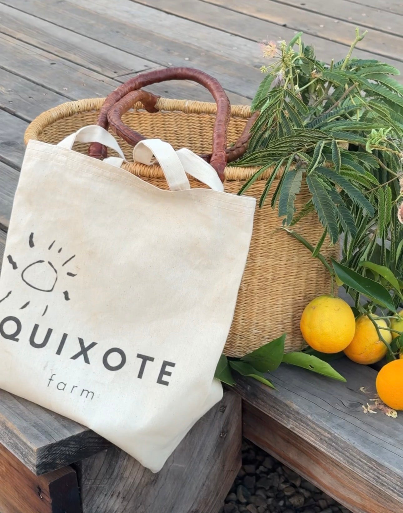 Citrus U-Pick CLOSED due to Heat