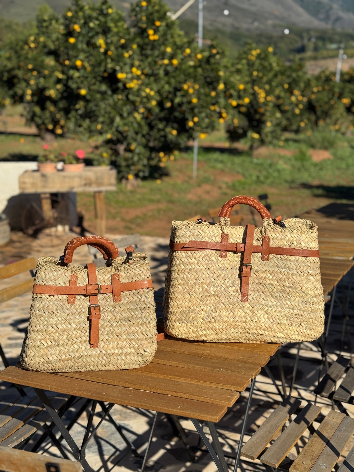 Hera Straw and Leather Tote, Petite