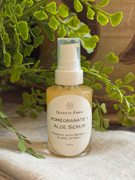 Pomegranate + Aloe Serum