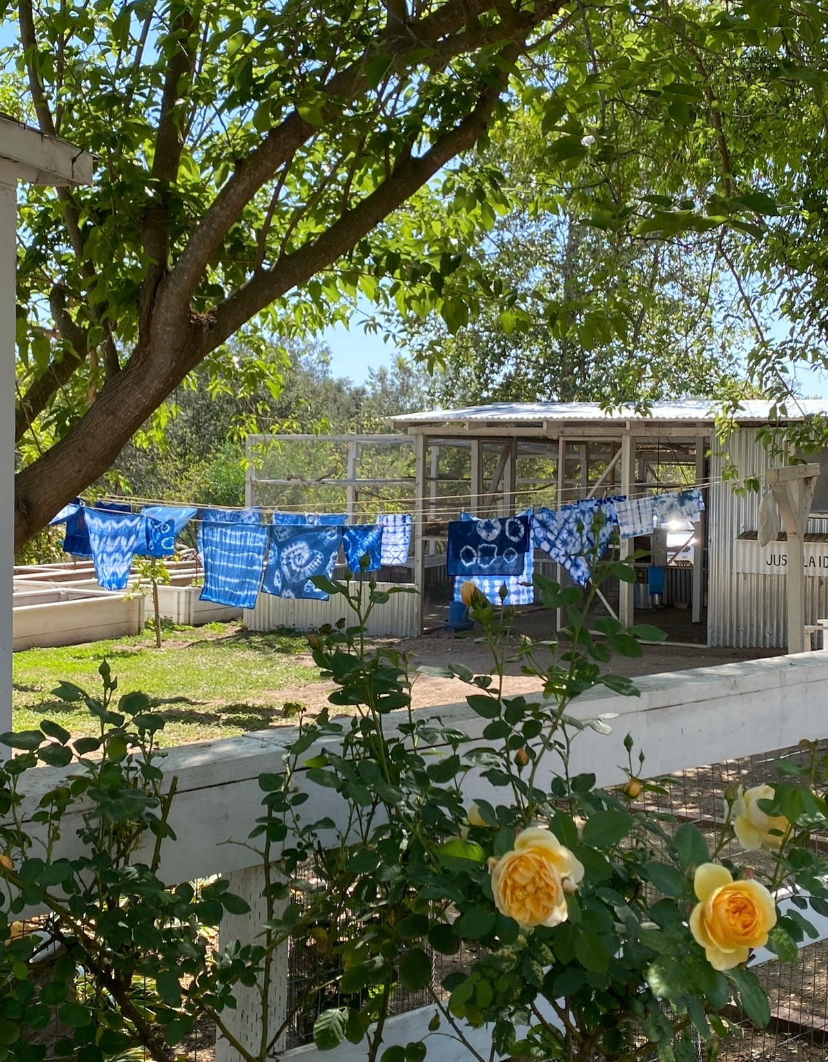 SOLD OUT Quixote Creative: Shibori Indigo Dye Class with Kari Bradberry 9/19