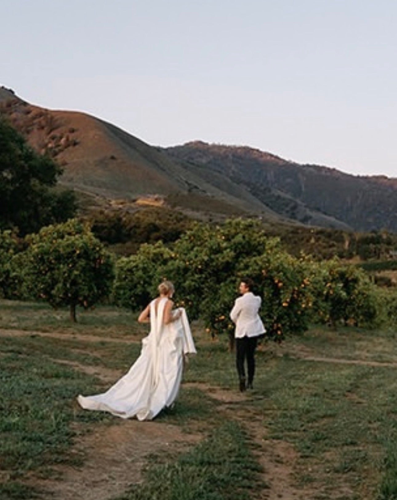 Quixote Farm Mini Session Photography rate + Details + Requirements