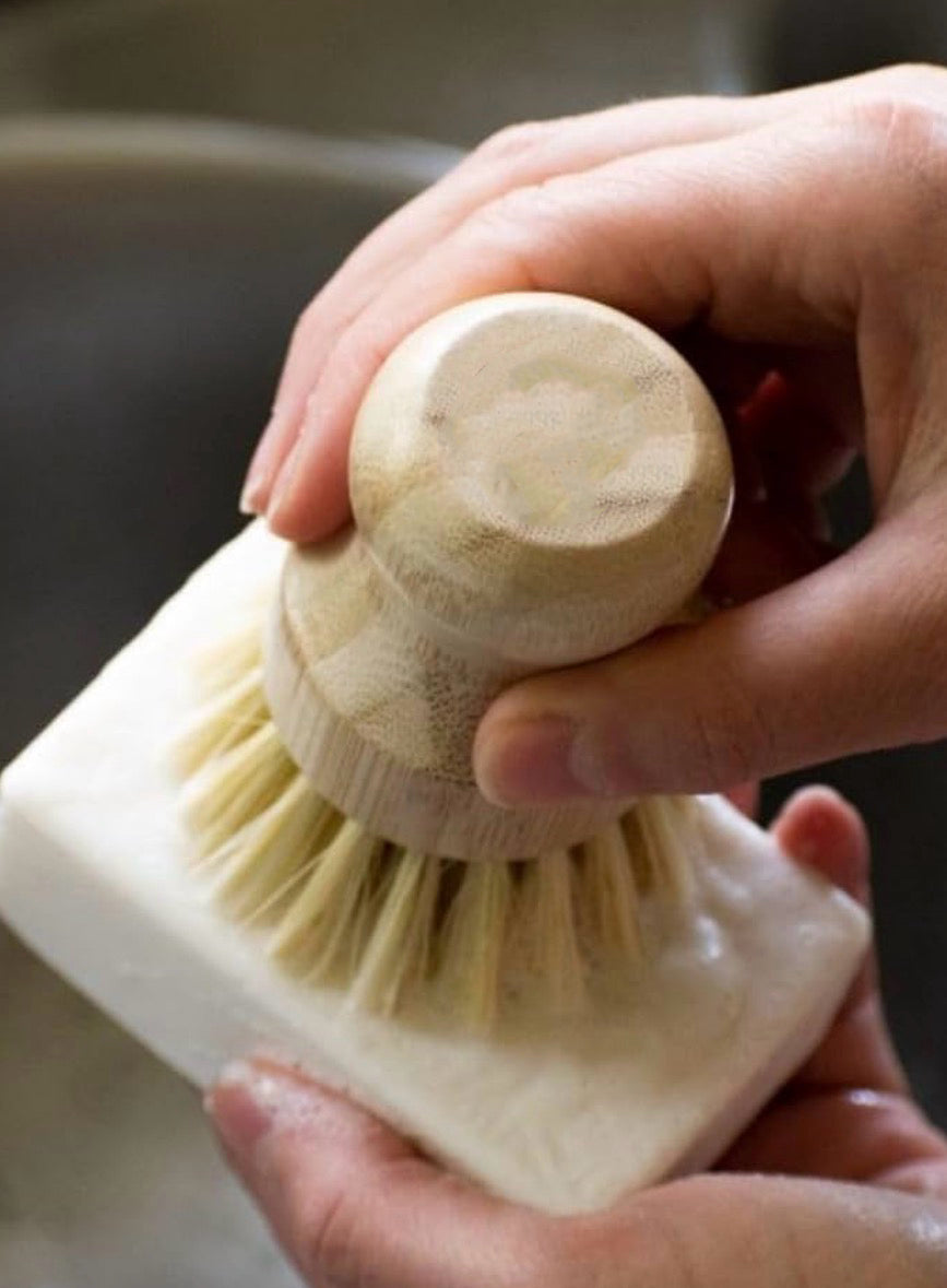 Quixote Creative: Kitchen Essentials: Natural Soapmaking and Surface Cleaner with Juliet Michele + Lara 10/17